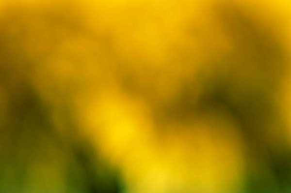 ¿Qué papel juegan las redes sociales en la difusión de noticias?