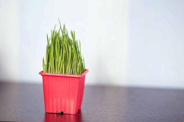 ¿Cómo mejorar tu memoria con simples ejercicios diarios?